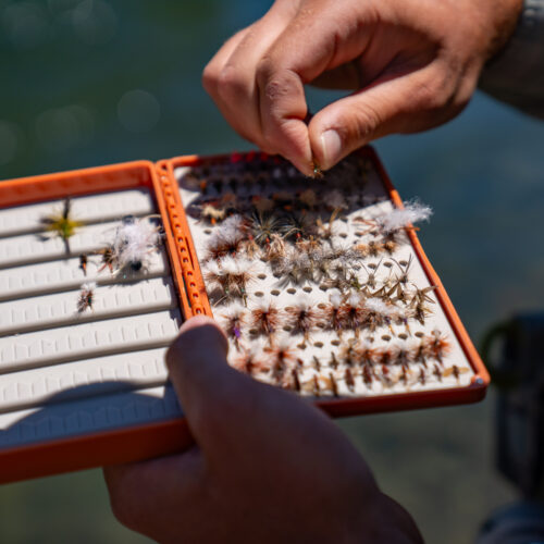 Angler | Silver Creek Outfitters | Sun Valley | Ketchum | Hailey | Idaho | Fly Fishing Forecast
