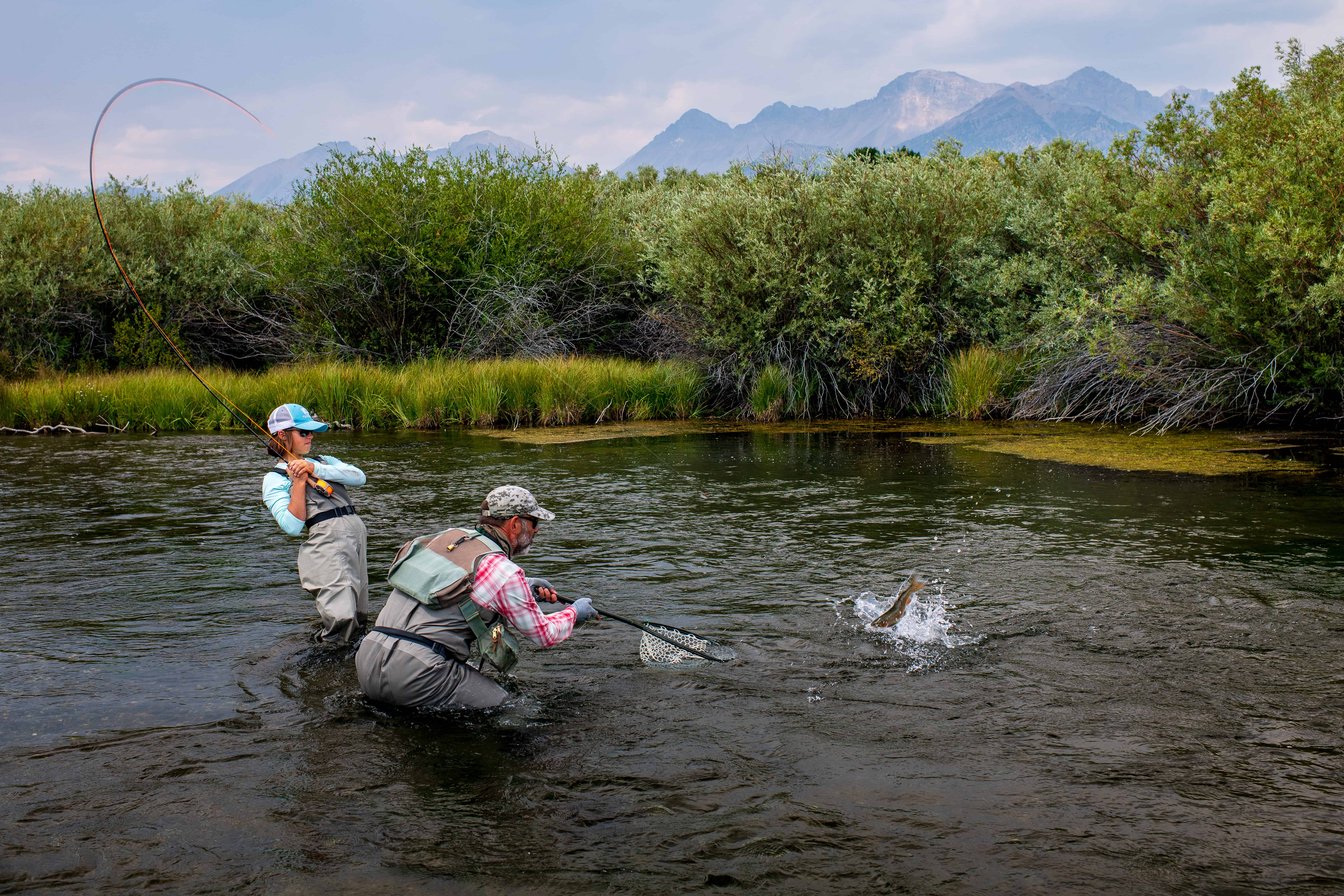 Silver Creek Outfitters | Fly Fishing forecast | Ketchum Idaho