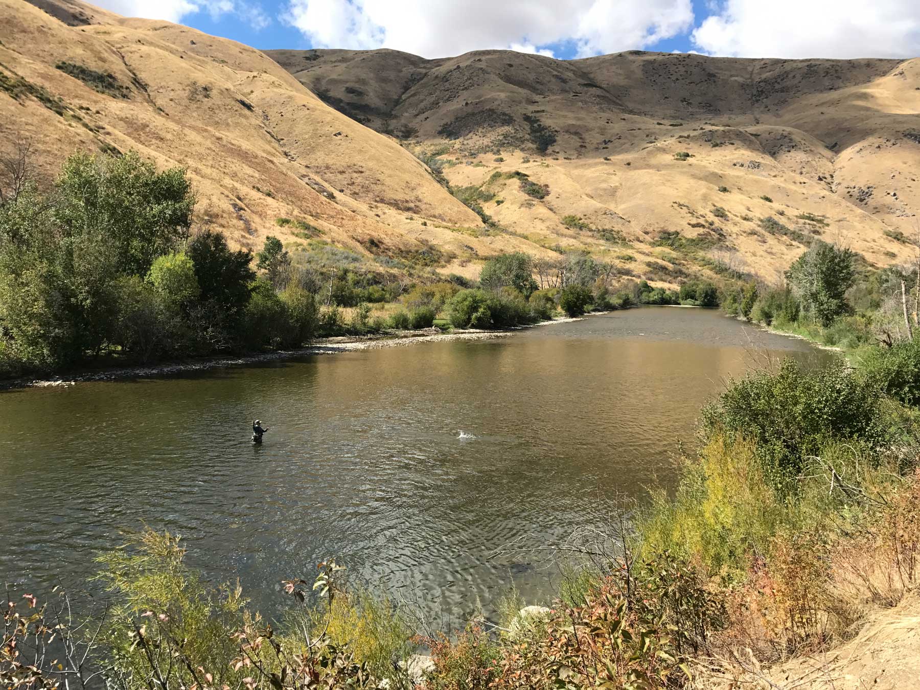Silver Creek Outfitters | Fly Fishing Forecast | Ketchum Idaho