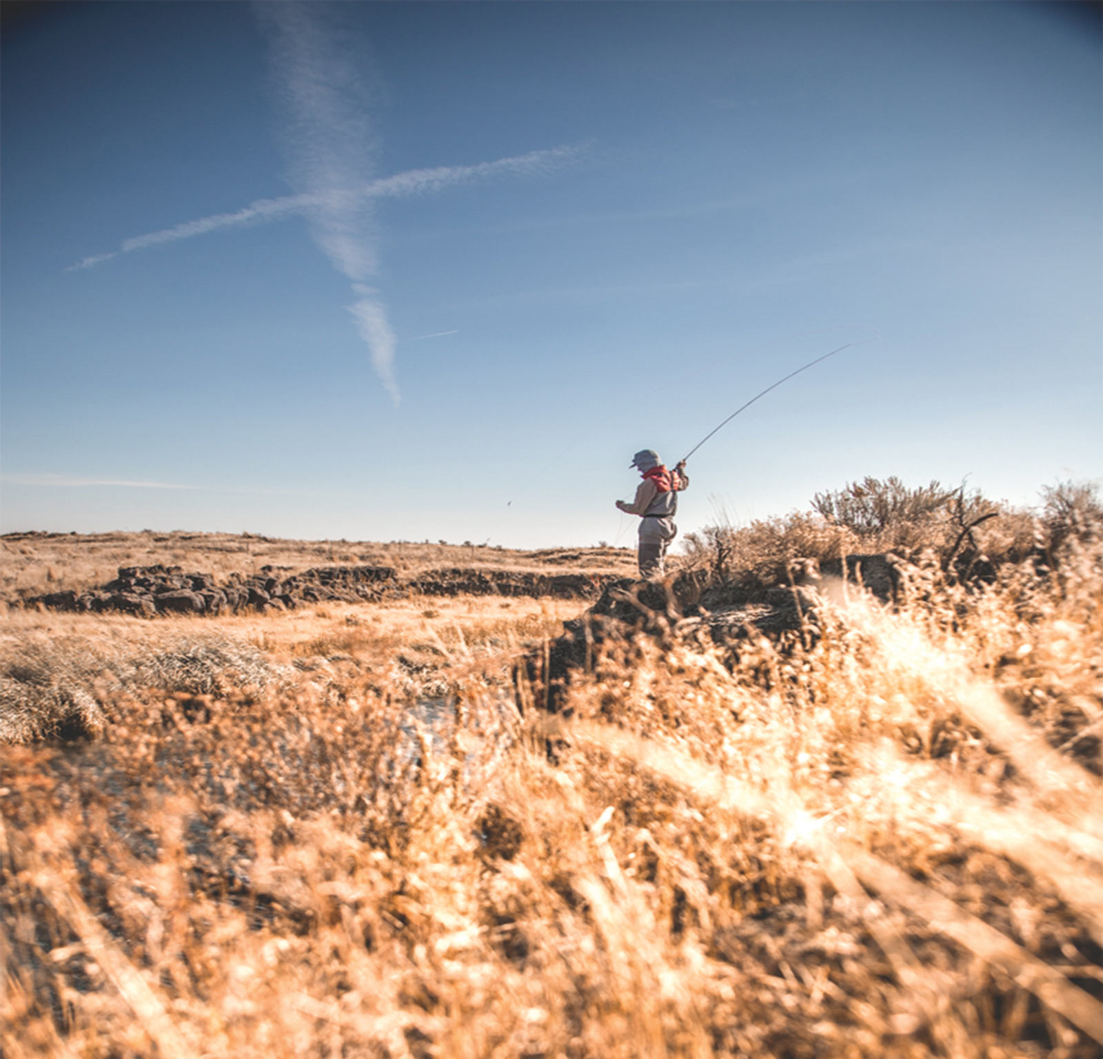 Fly Fishing Forecast | Silver Creek Outfitters | Sun Valley Idaho