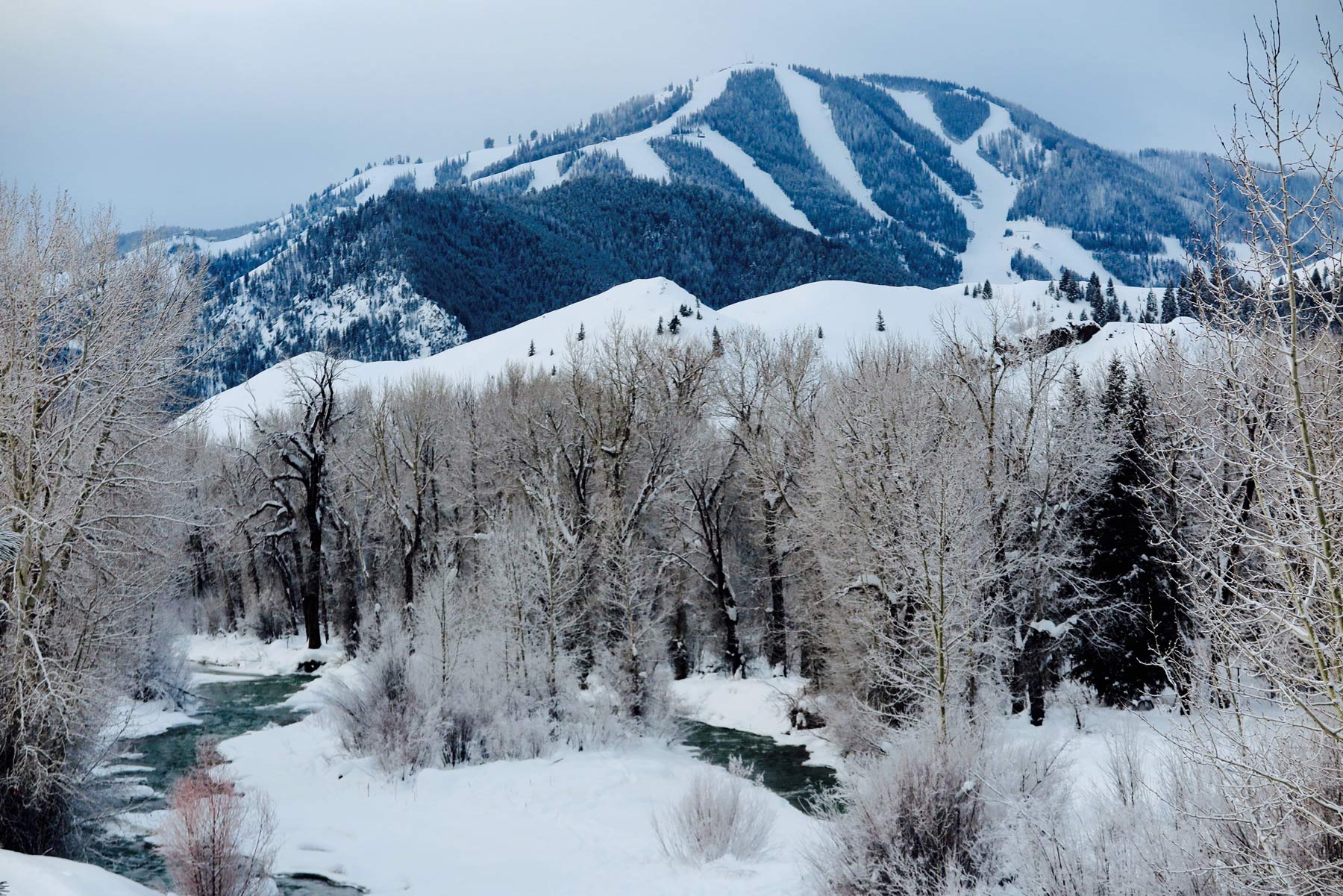 Winter Fly Fishing | Silver Creek Outfitters | Fly Fishing Forecast