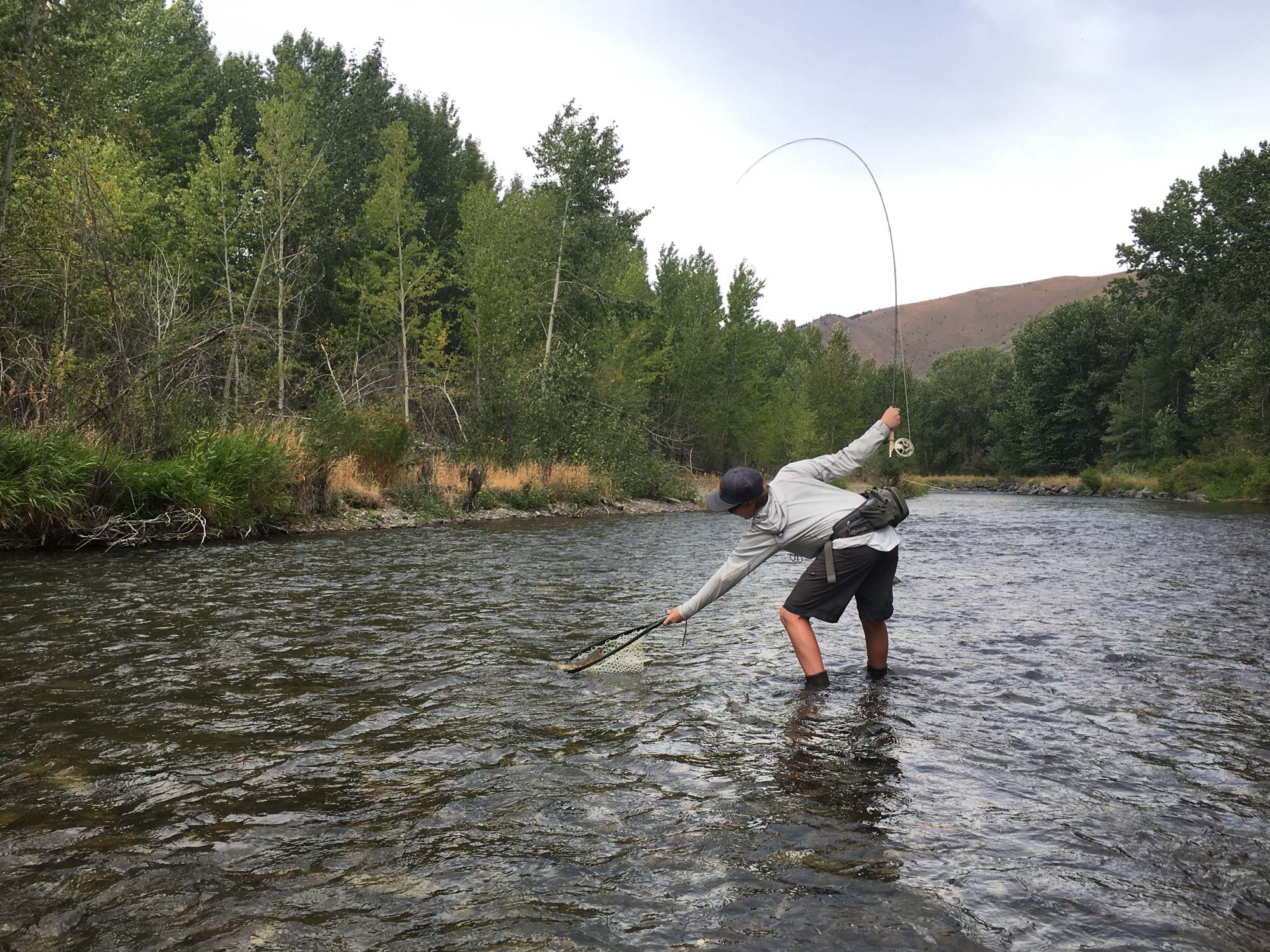 Fly Fishing | Silver Creek Outfitters | Fly Fishing Forecast