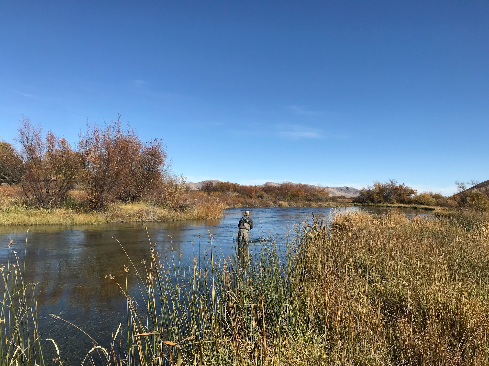 Fishing Forecast Silver Creek Outfitters