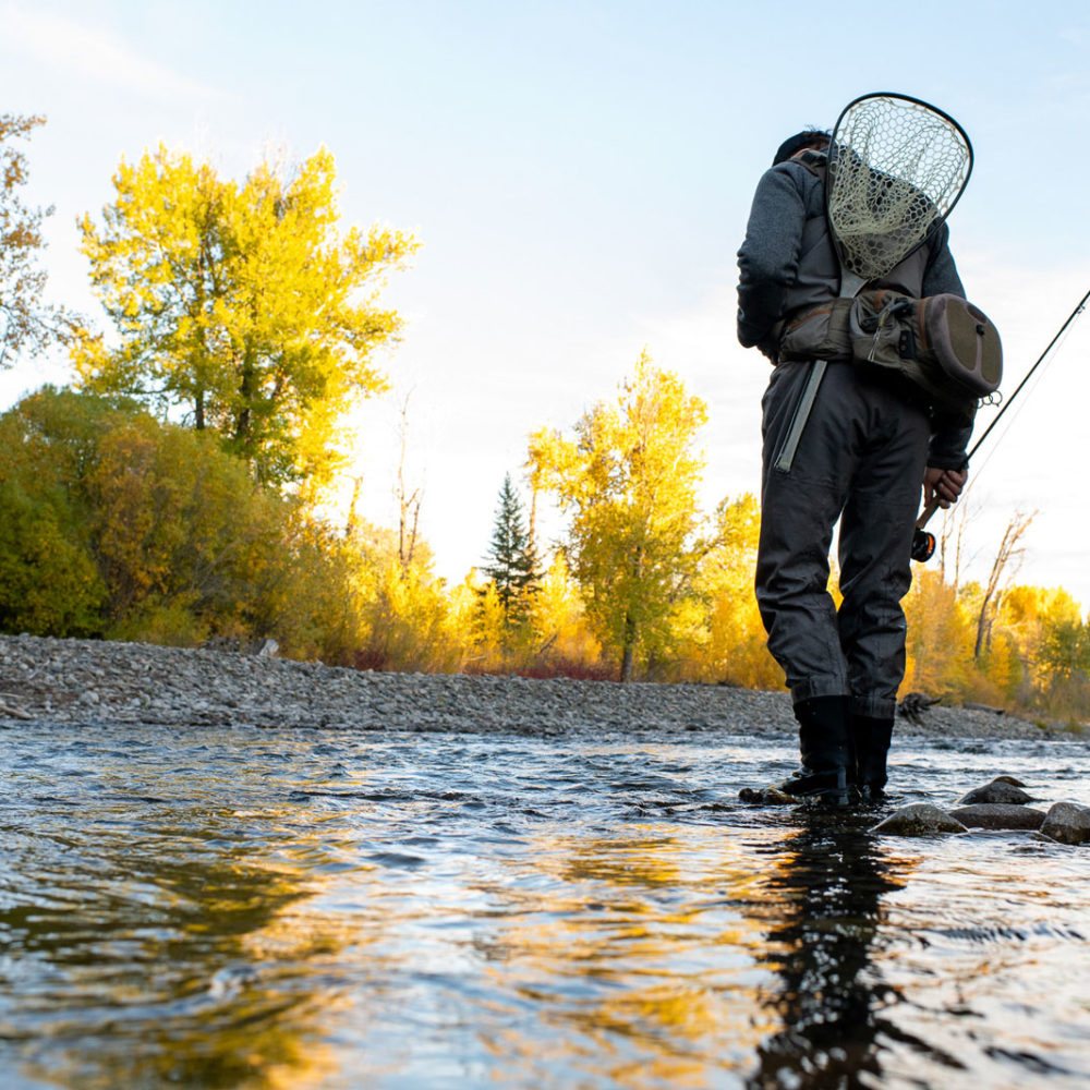 Fly Fishing | Silver Creek Outfitters | Fly Fishing Forecast