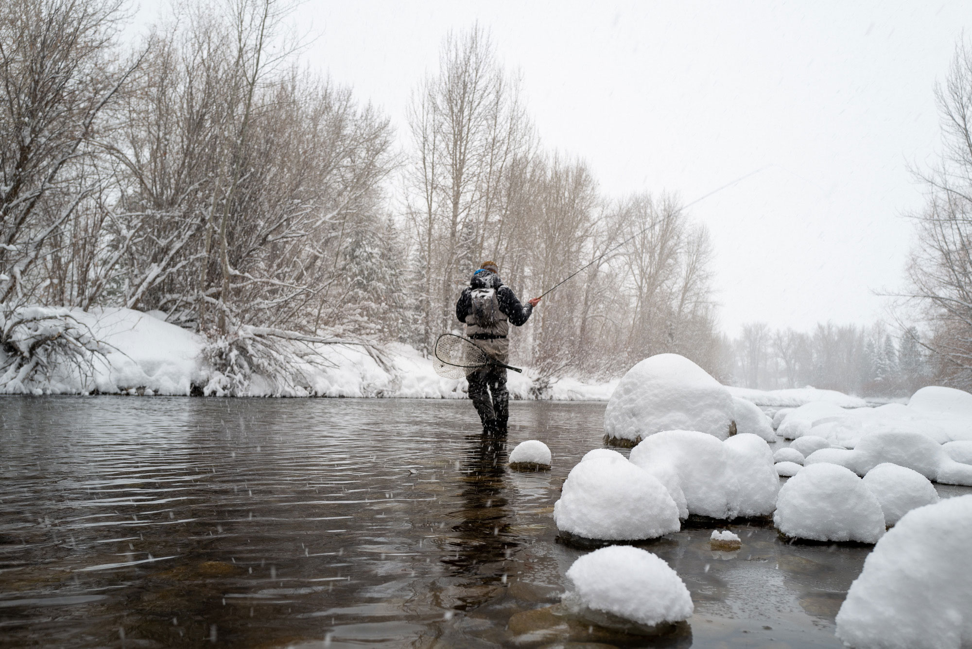 Fly Fishing | Silver Creek Outfitters | Fly Fishing Forecast