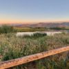 Silver Creek Outfitters | Silver Creek Preserve | Fly Fishing Forecast
