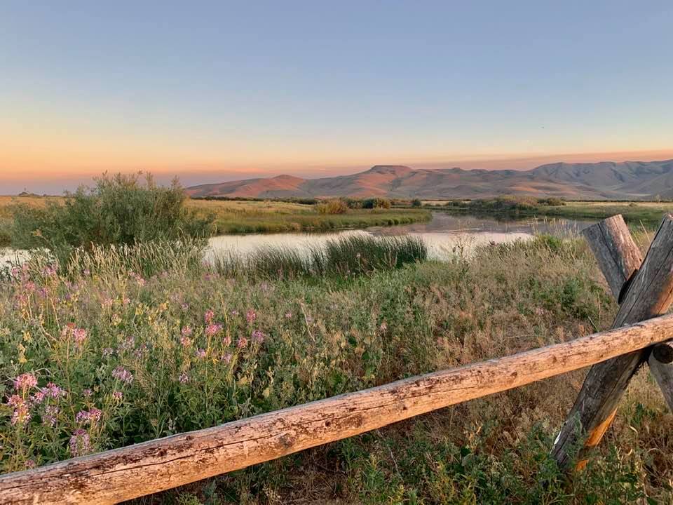 Silver Creek Outfitters | Silver Creek Preserve | Fly Fishing Forecast