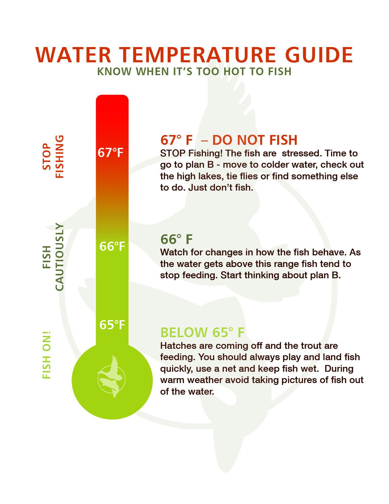 Fly Fishing Forecast | Water Temp Guide | Silver Creek Outfitters