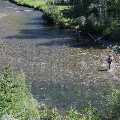 Fly Fishing Forecast | George Daniel Clinic | Silver Creek Outfitters