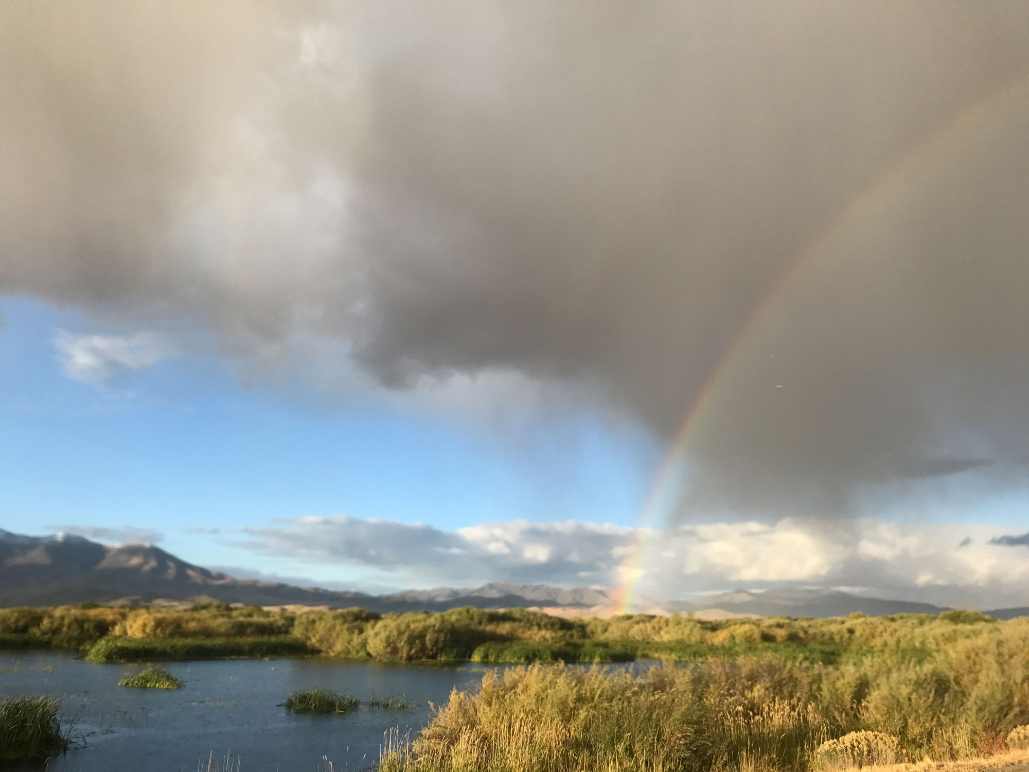 Fly Fishing Forecast<br/> August 4 – 11