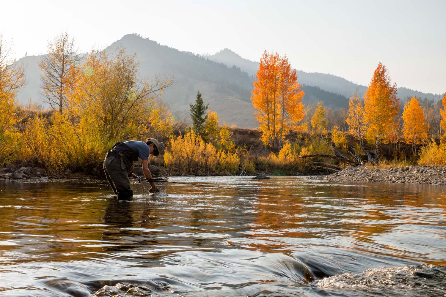 Fly Fishing Forecast | Silver Creek Outfitters