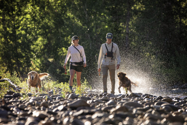 two anglers at river's edge with two golden retrievers fly fishing in Sun Valley, Idaho | Silver Creek Outfitters