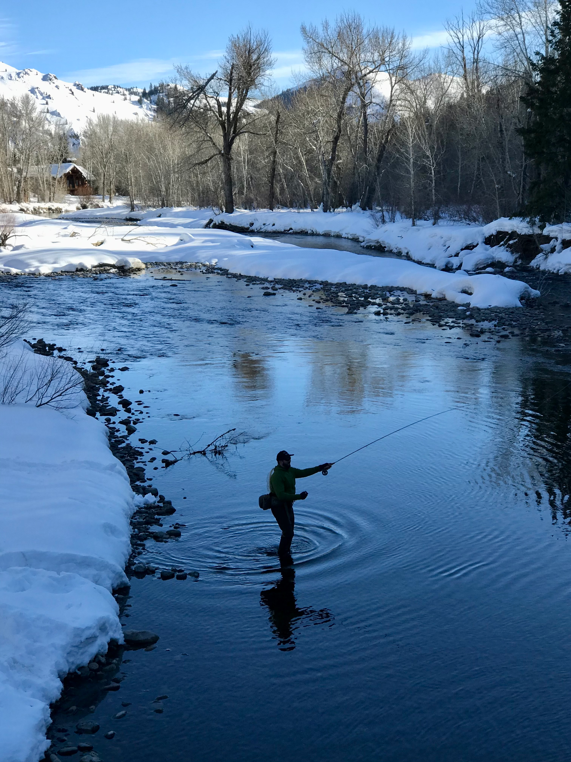 Fly Fishing Forecast<br/> February 15 – March 1