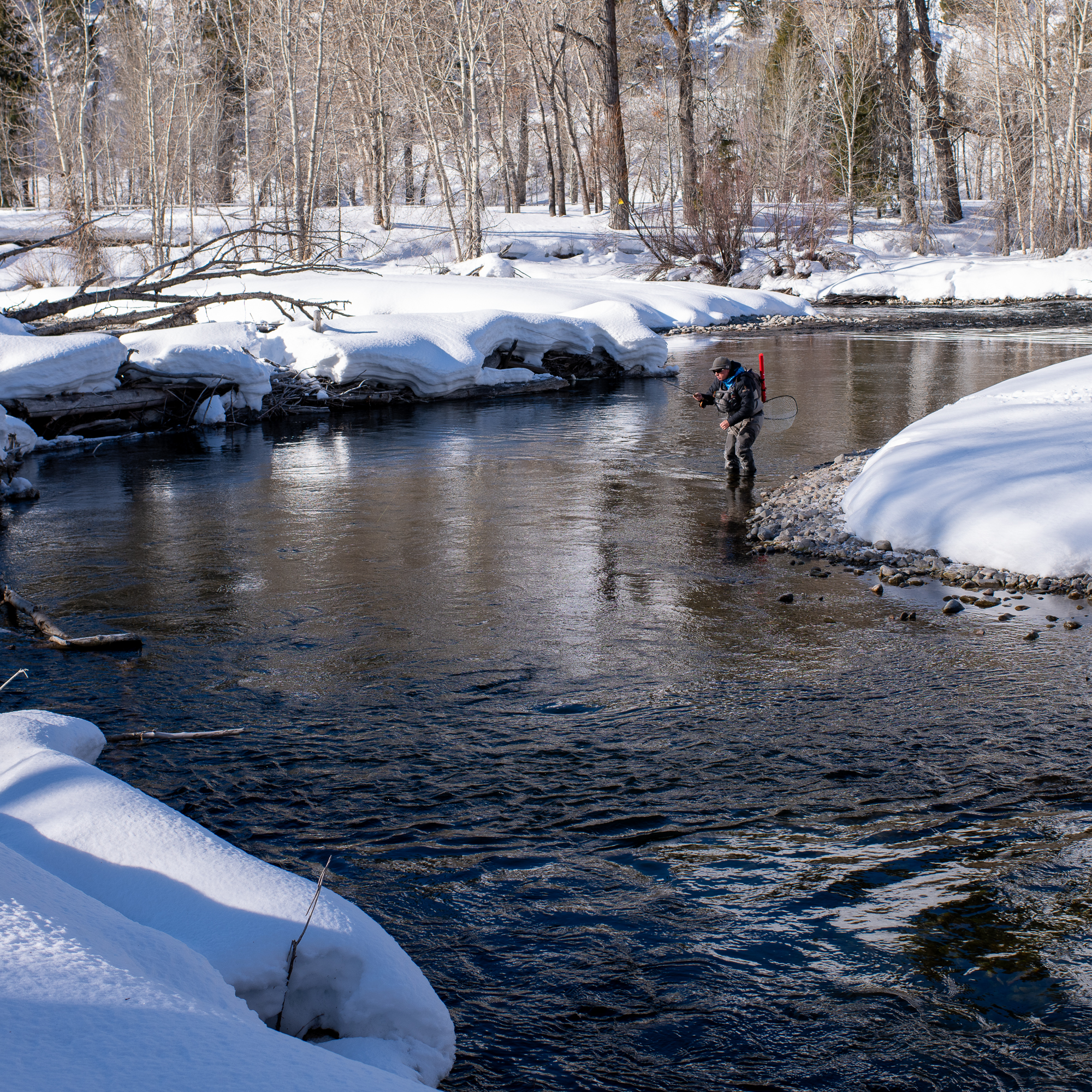 Fly Fishing Forecast<br/> March 29 – April 12