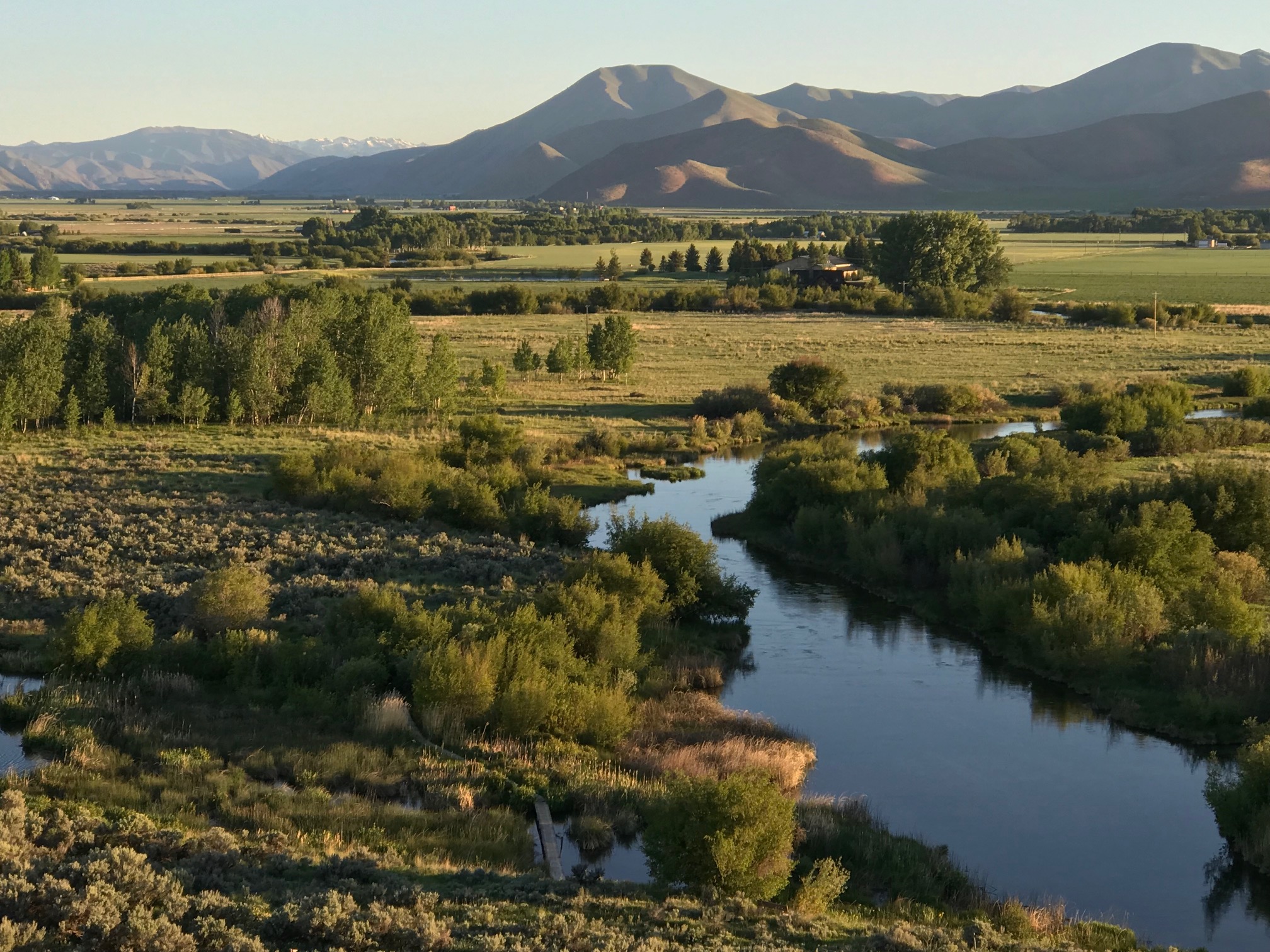 Fly Fishing Forecast<br/> May 24 – 31