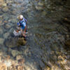 Fly Fishing Forecast: May 31-June 7