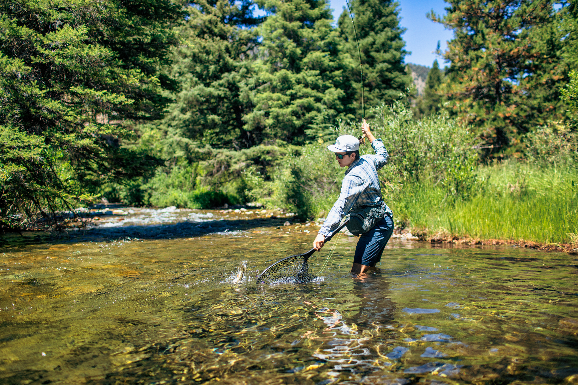 Fly Fishing Forecast<br/>July 12 – 19