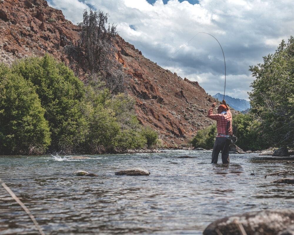 Fishing Forecast - Silver Creek Outfitters