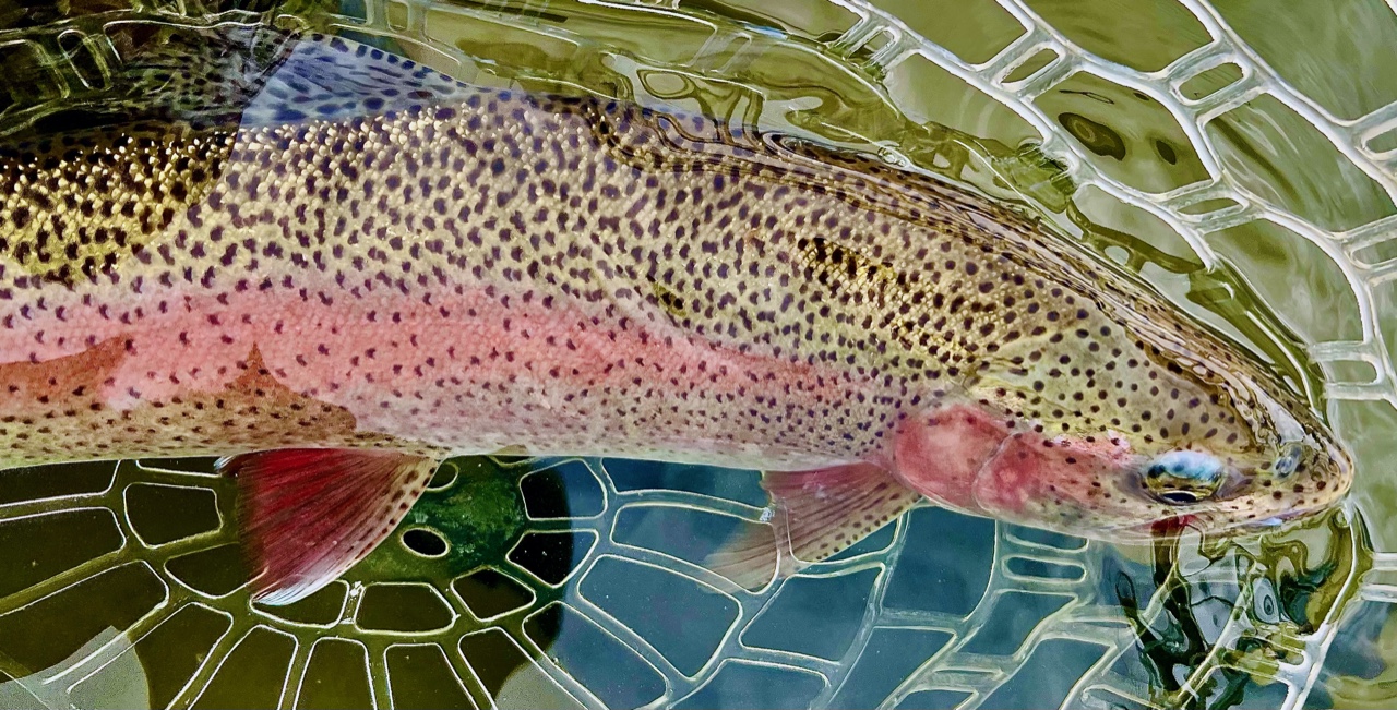 Fly Fishing Forecast<br/>March 27-April 10