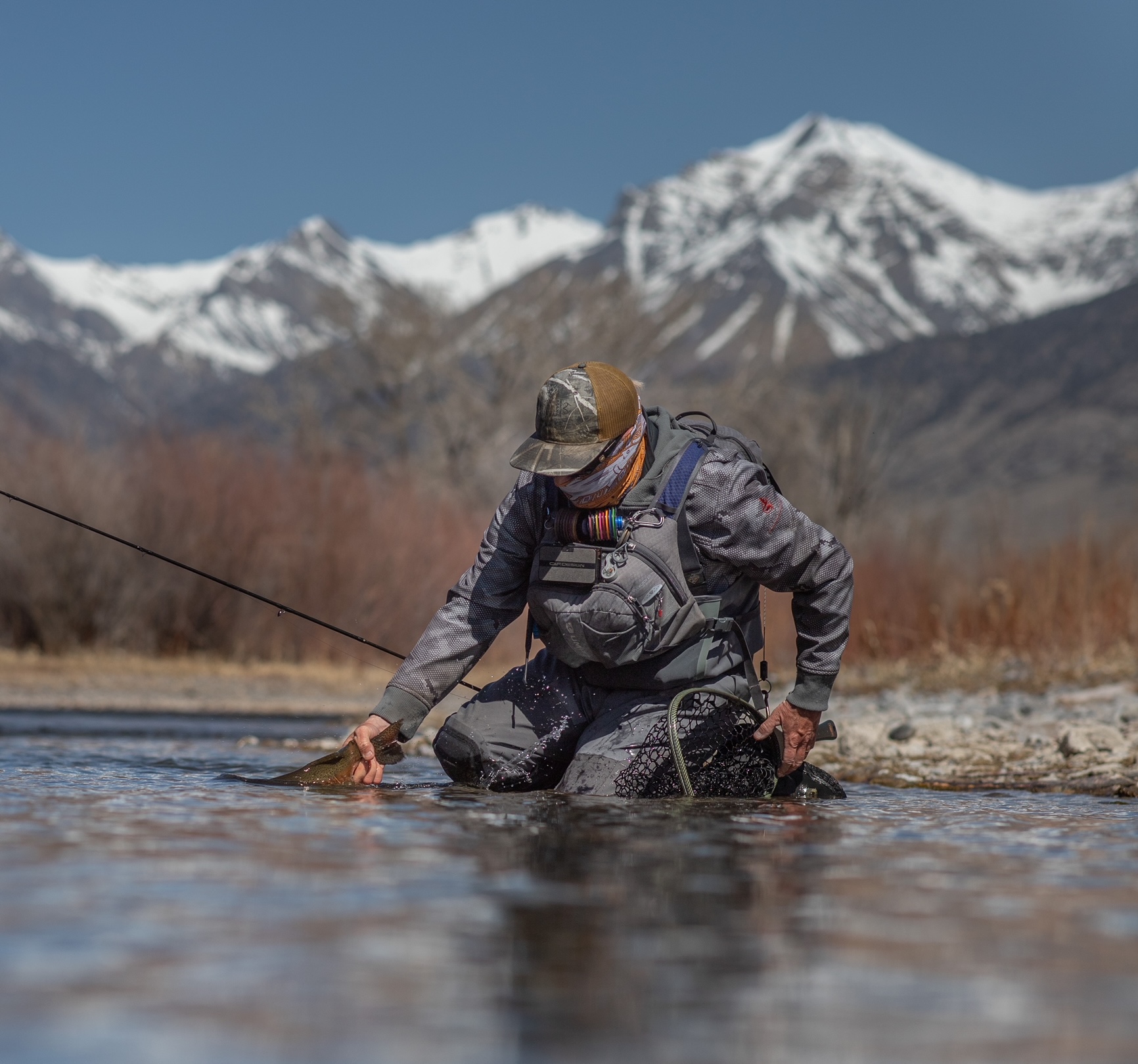 Angler fishing in the spring time with a fish in his hand. Snowy mountains in the background.