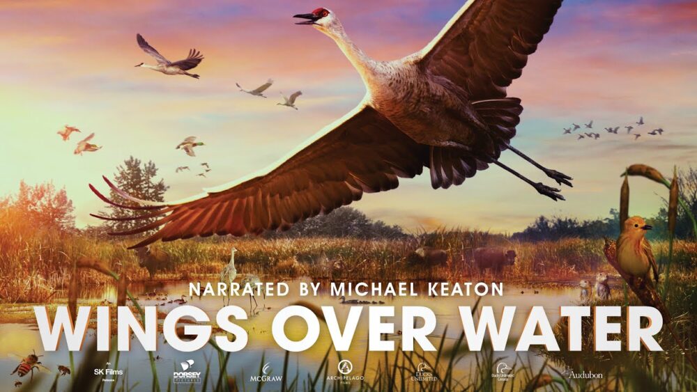 Wings Over Water | Private Screening | Ketchum Idaho | December 30 | The Agyros