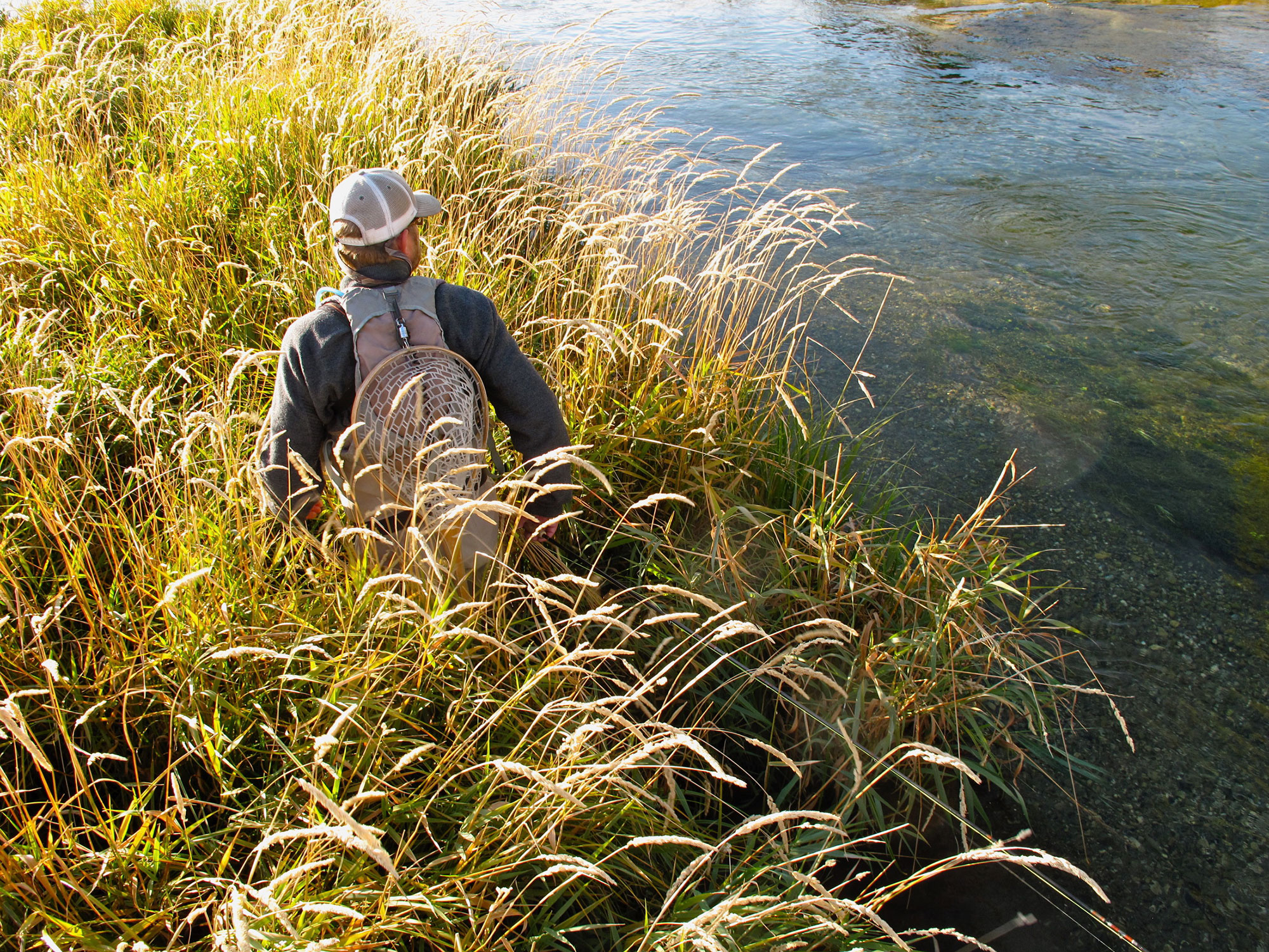 Angler | Fly Fishing Forecast | Sun Valley | Idaho | Silver Creek Outfitters