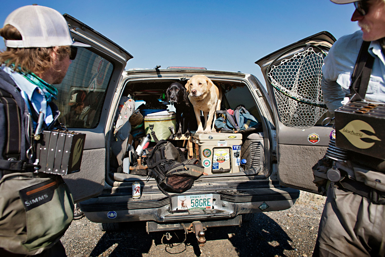A fishing guide's packed truck full of essential gear, including his dogs. Silver Creek Outfitters | Sun Valley Idaho