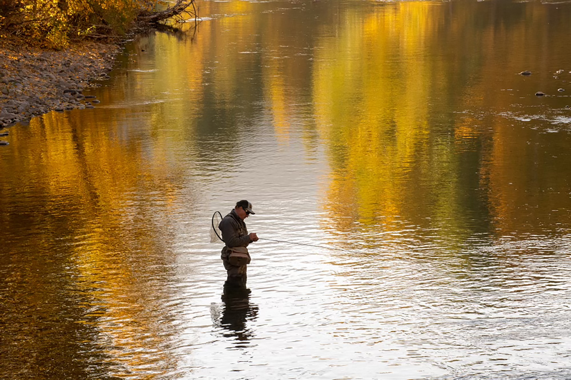 Angler | Fishing in the fall | Silver Creek Outfitters | Sun Valley, Idaho