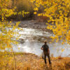 Angler Fishing in the Fall | Silver Creek Outfitters | Sun Valley | Idaho