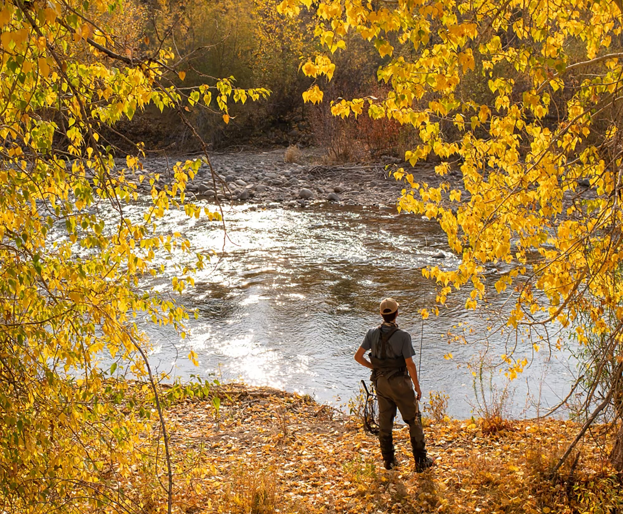 Angler Fishing in the Fall | Silver Creek Outfitters | Sun Valley | Idaho