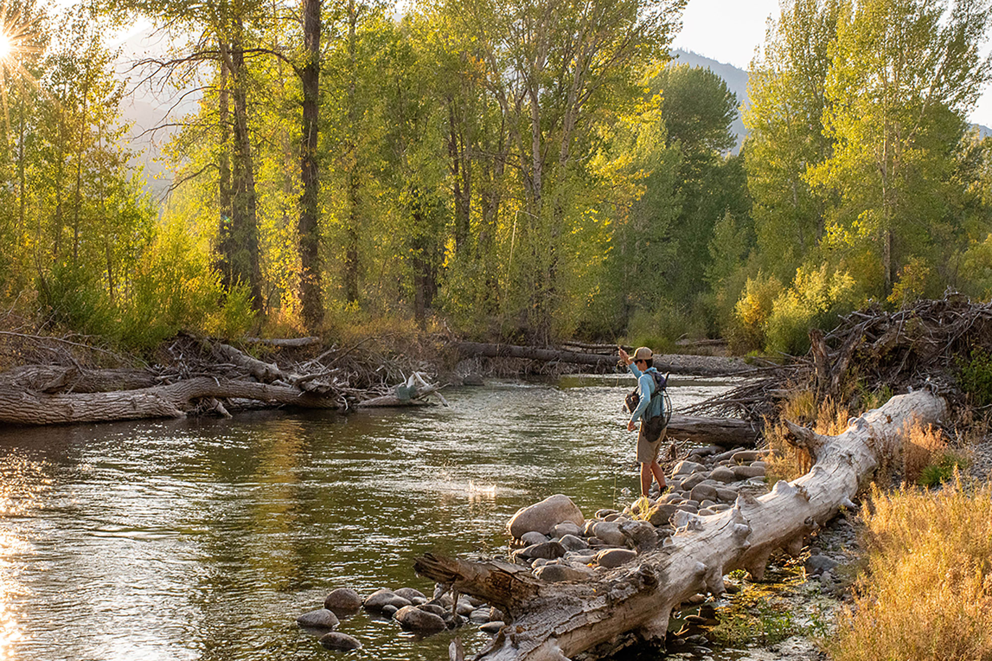 Angler fishing in fall | Sun Valley | Idaho | Silver Creek Outfitters