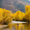 Angler Fishing in Fall | Silver Creek Outfitters | Sun Valley | Idaho