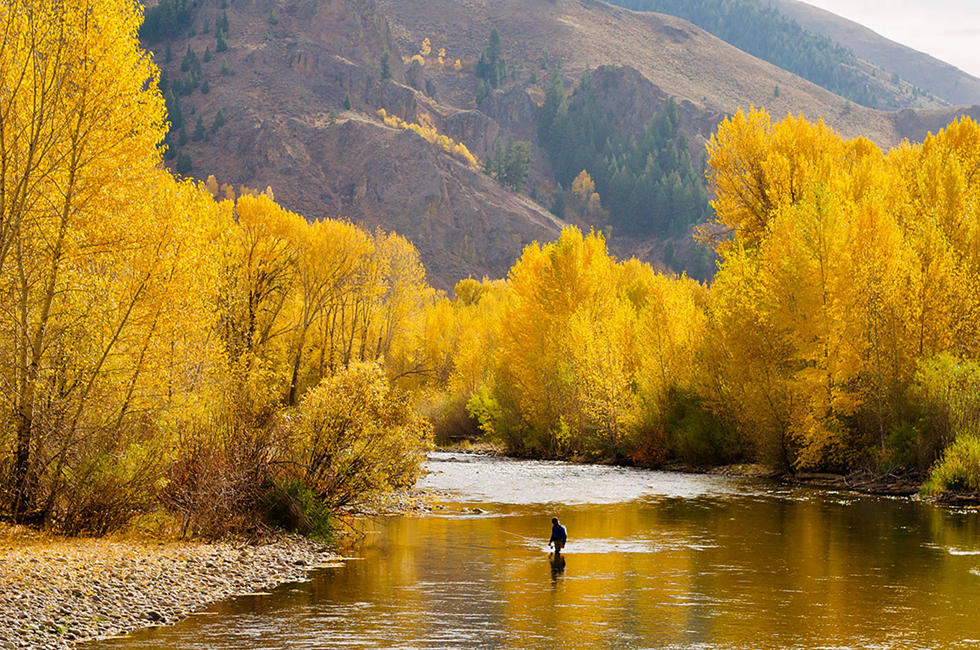 Angler Fishing in Fall | Silver Creek Outfitters | Sun Valley | Idaho