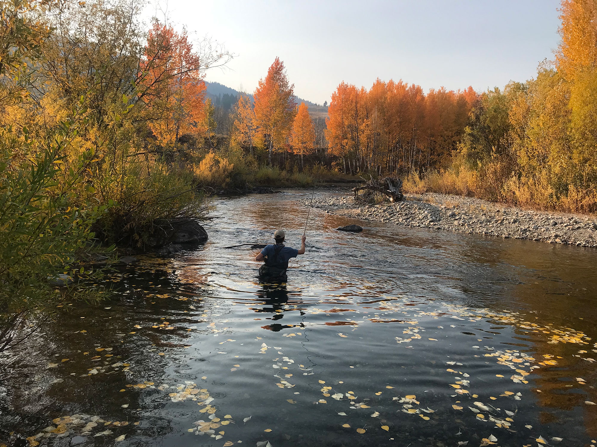 Angler fishing in fall | Silver Creek Outfitters | Sun Valley | Idaho