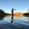 Silver Creek Outfitters | Sun Valley | Idaho | Fly Fishing Forecast