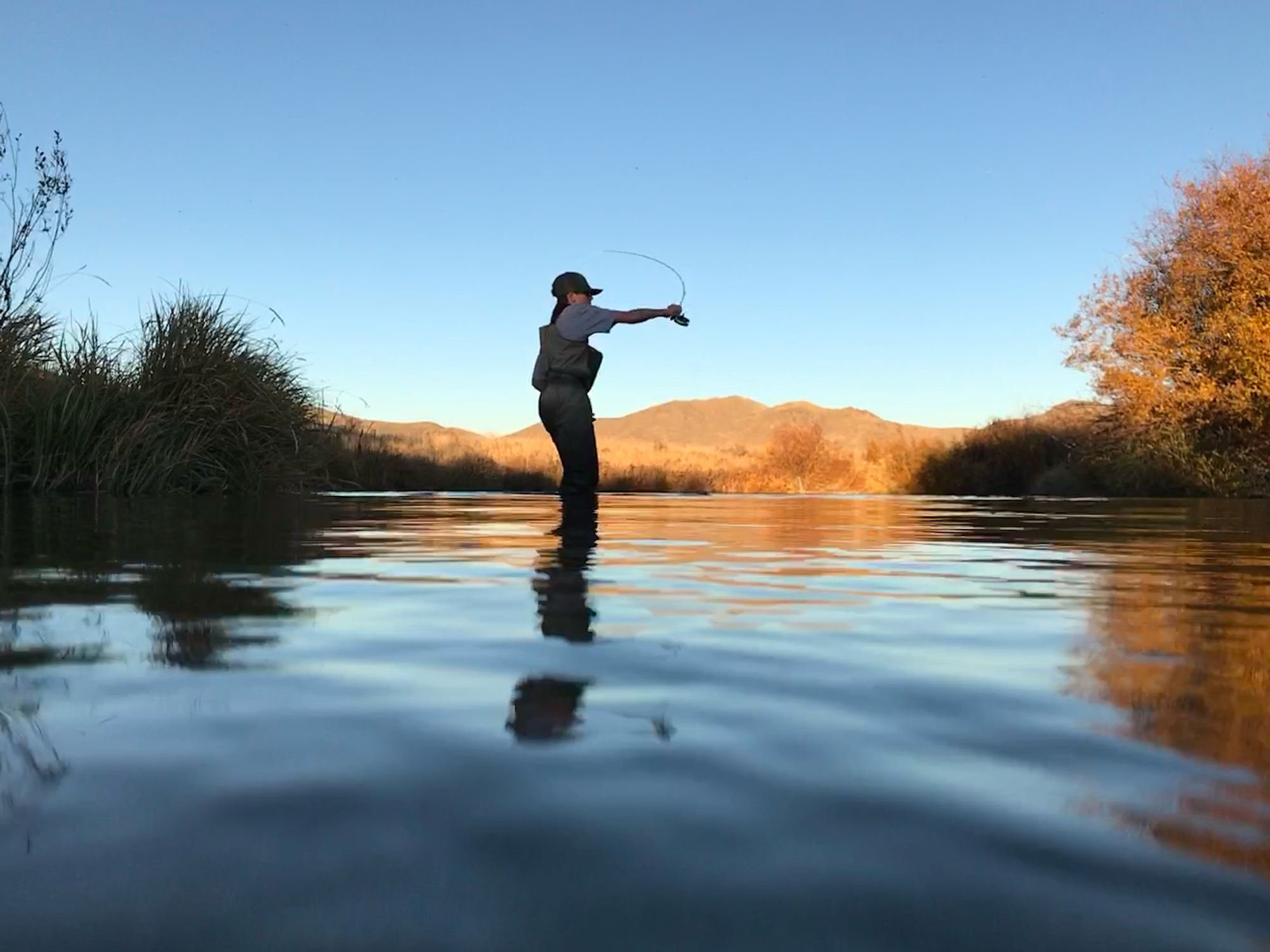 Silver Creek Outfitters | Sun Valley | Idaho | Fly Fishing Forecast