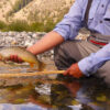 Angler | Sun Valley | Idaho | Silver Creek Outfitters