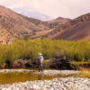 Angler | Silver Creek Outfitters | Sun Valley | Idaho