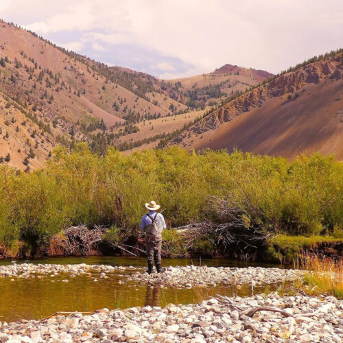 Angler | Silver Creek Outfitters | Sun Valley | Idaho