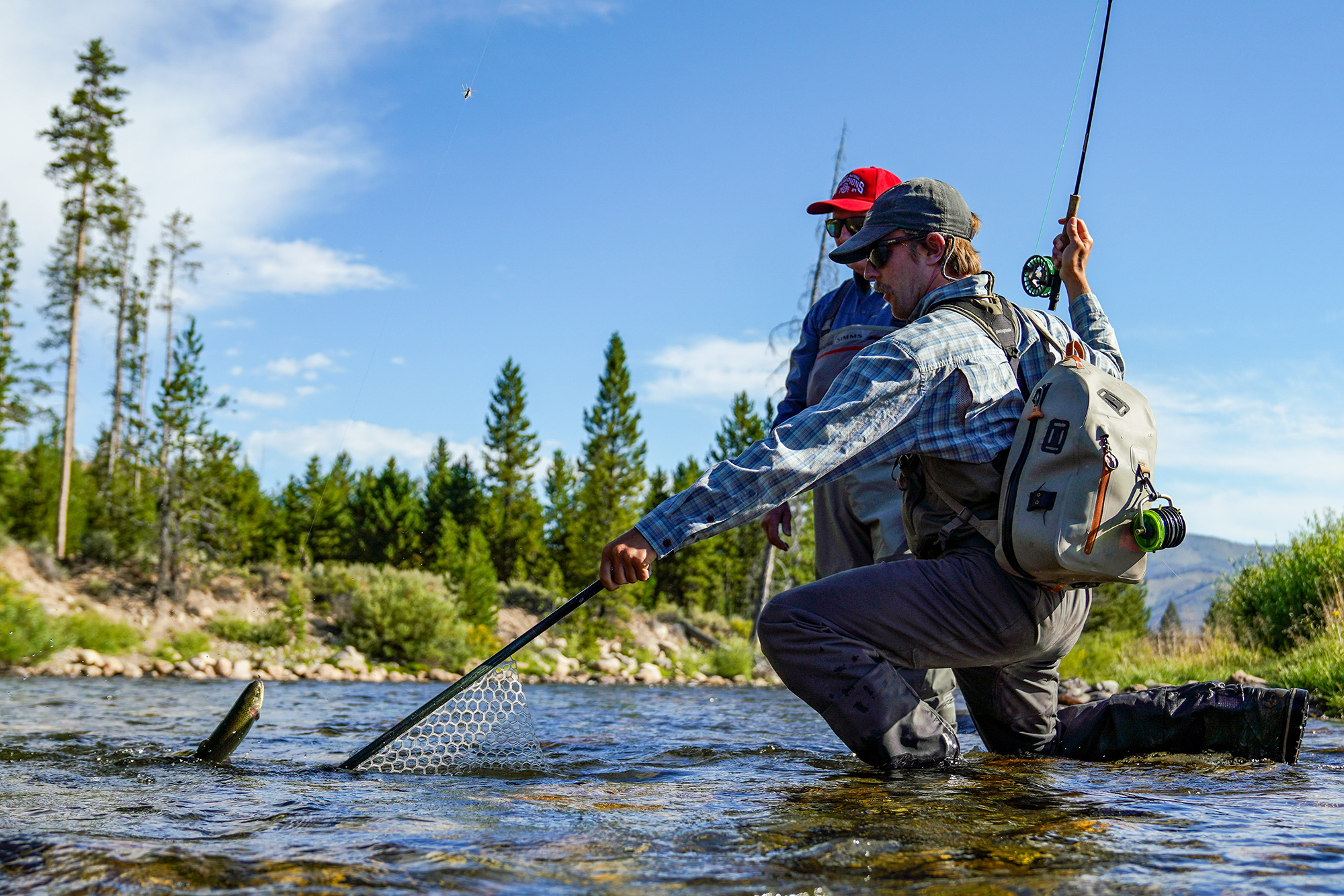 Angler | Netting a Fish | Sun Valley | Ketchum | Hailey | Idaho | Silver Creek Outfitters