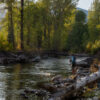 Angler Fishing | Sun Valley | Ketchum | Hailey | Idaho | Silver Creek Outfitters