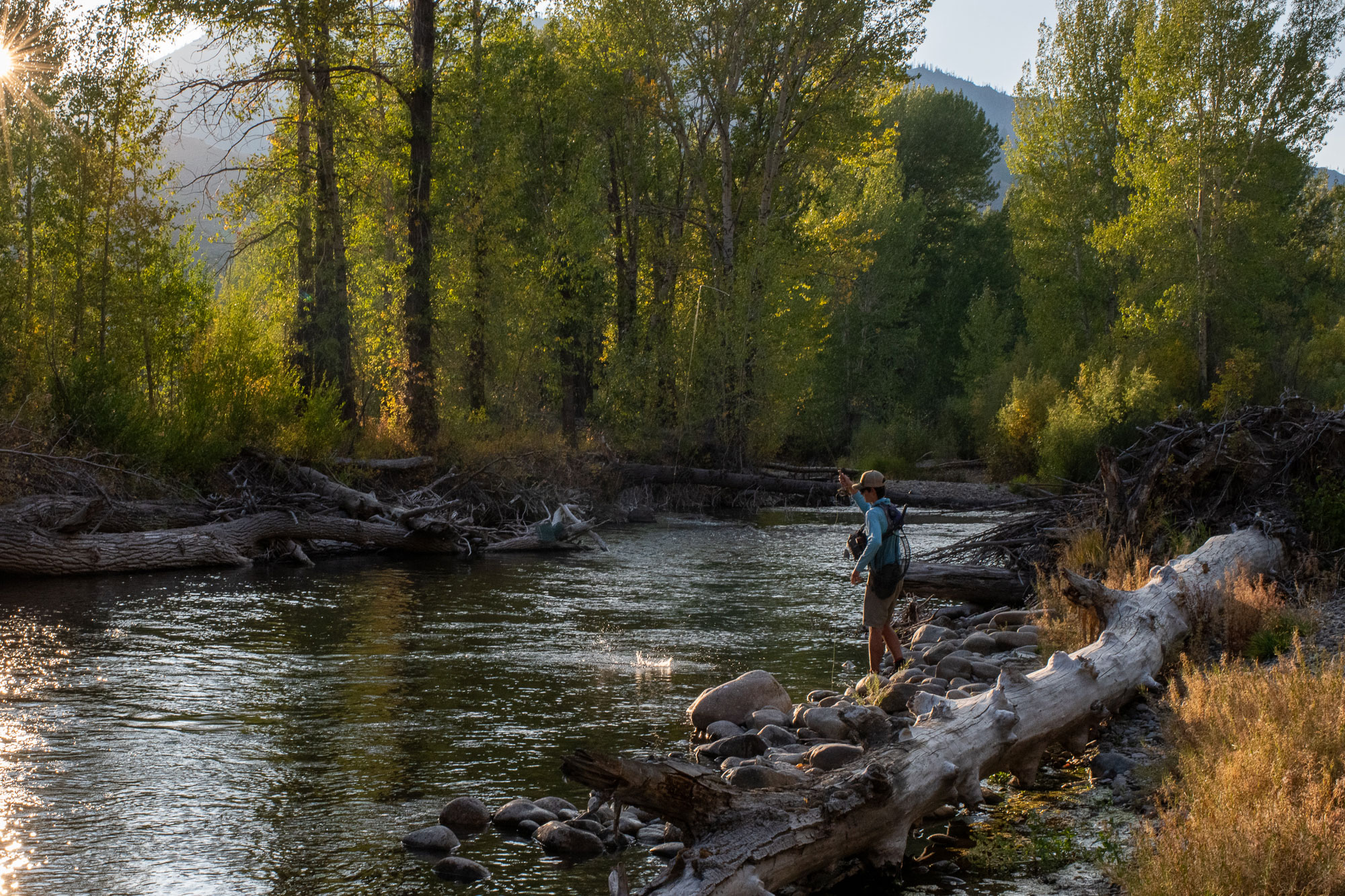 Angler Fishing | Sun Valley | Ketchum | Hailey | Idaho | Silver Creek Outfitters