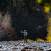 Angler Fishing in Fall | Silver Creek Outfitters | Sun Valley | Ketchum | Hailey | Idaho
