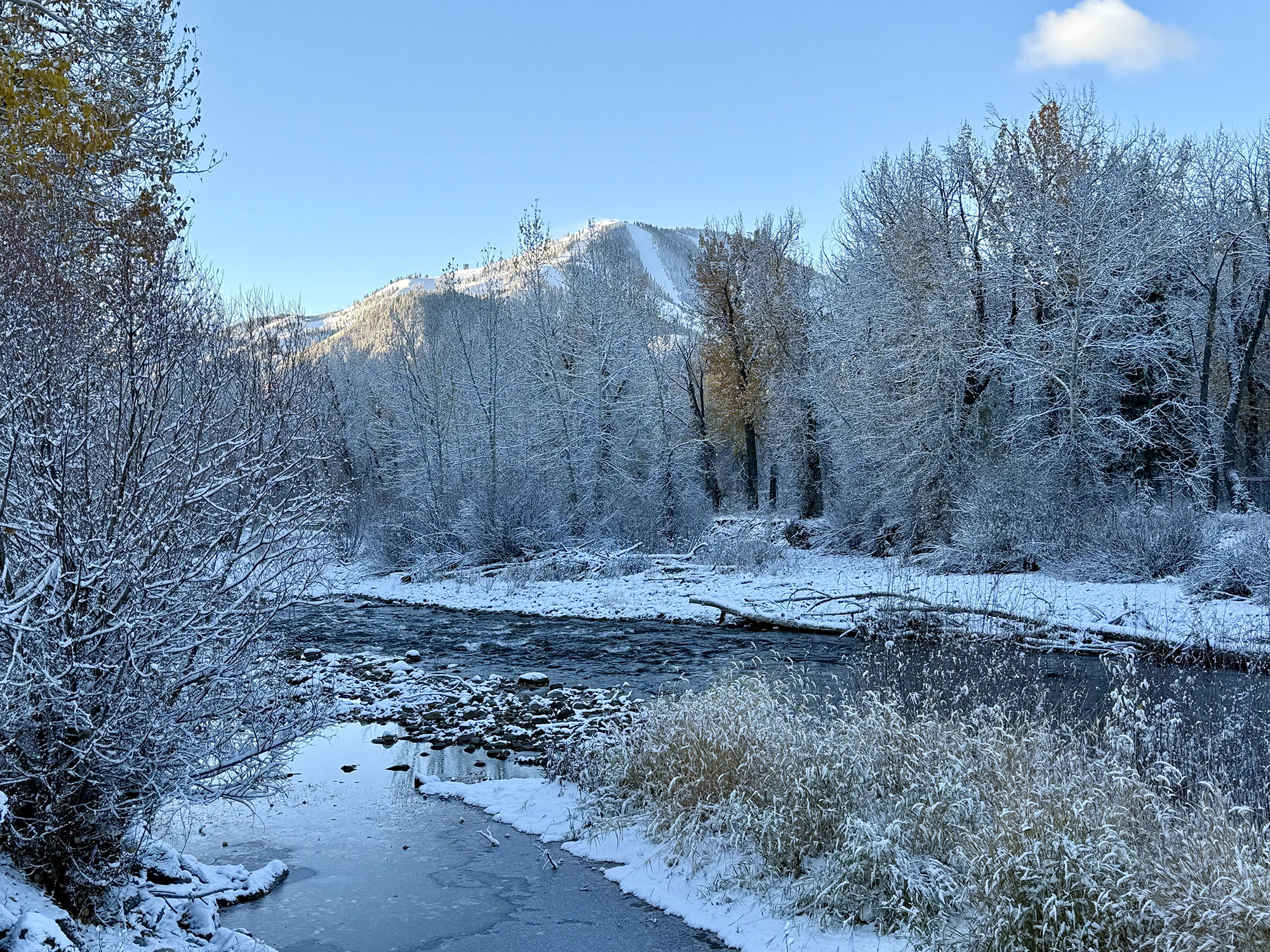 Winter | Big Wood | Ketchum | Sun Valley | Idaho | Silver Creek Outfitters