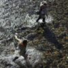 Anglers walking in water | Silver Creek Outfitters | Sun Valley | Ketchum | Hailey | Idaho | Fly Fishing