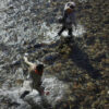 Anglers walking in water | Silver Creek Outfitters | Sun Valley | Ketchum | Hailey | Idaho | Fly Fishing