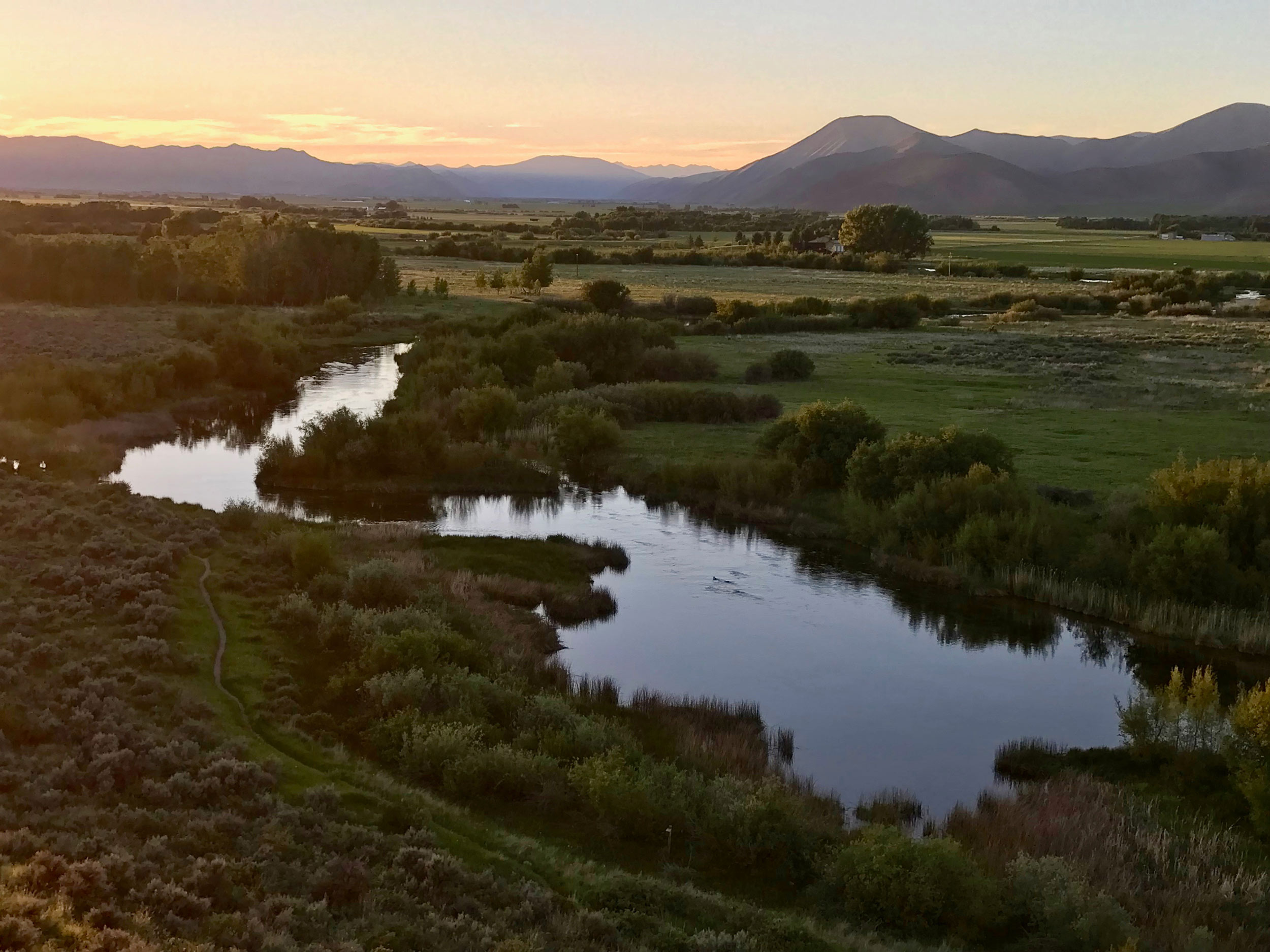 Fly fishing in the spring at Silver Creek Preserve