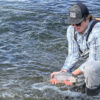 A person in fishing gear crouches by a river in Sun Valley, holding a large trout with both hands just above the water’s surface. A fishing rod rests on their shoulder.