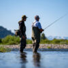 Two people in waders stand in a shallow river fly fishing, surrounded by greenery and distant mountains under a clear blue sky—an ideal scene for Sun Valley Fly Fishing enthusiasts seeking the perfect Fly Fishing Forecast.