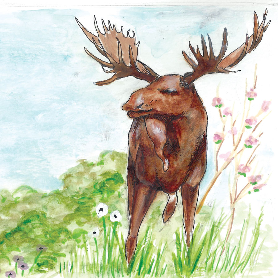 A watercolor illustration of a moose standing in tall grass with wildflowers, trees, and a blue sky in the background—perfect for any fly fishing guide like Paul Aguilar seeking inspiration from nature’s beauty.